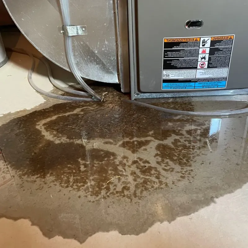 Pipe Burst and Leak Restoration in Marsing, ID